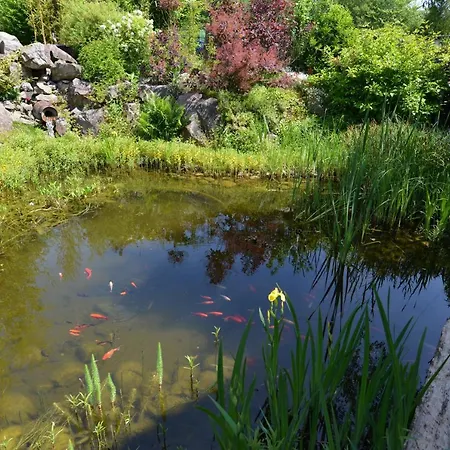 Le De Lyne Σαλέ *